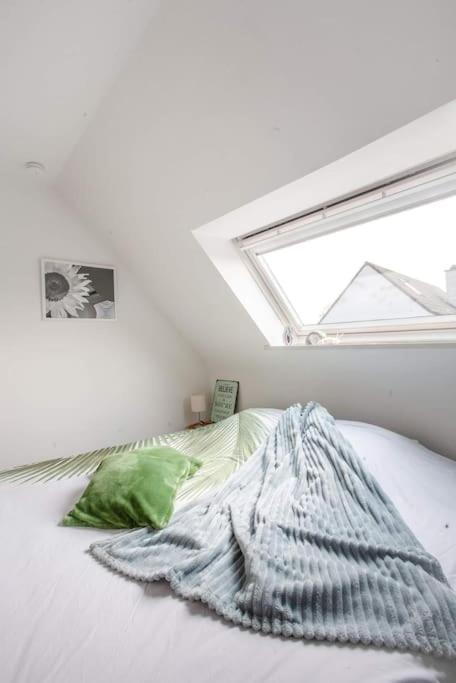 Zalig Cosy Appartement 2-4 Pers.Fietsen & Tuin 데한 외부 사진